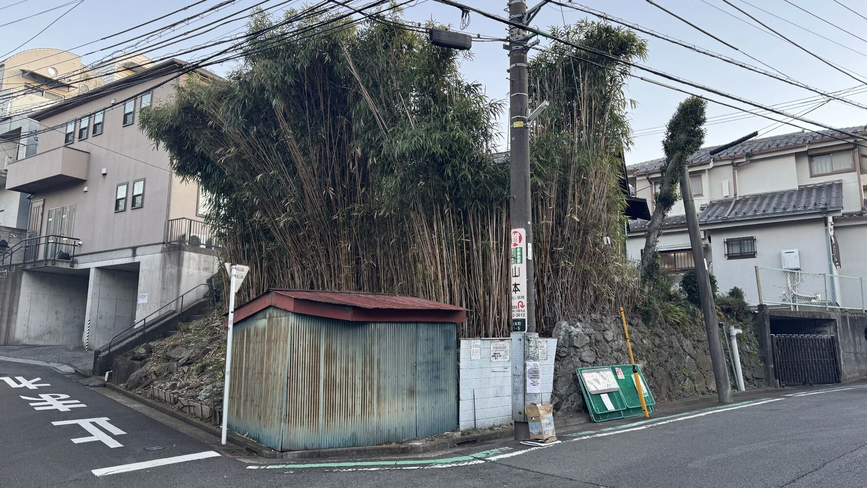 ブログ画像