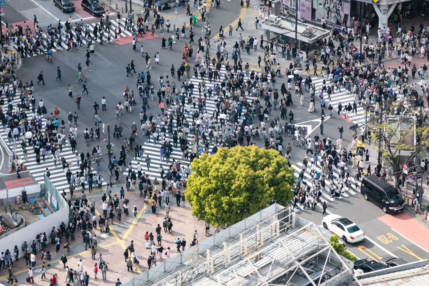 画像2718