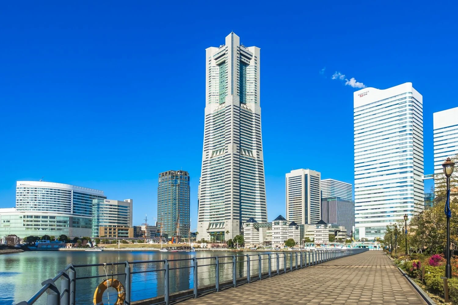 画像2916