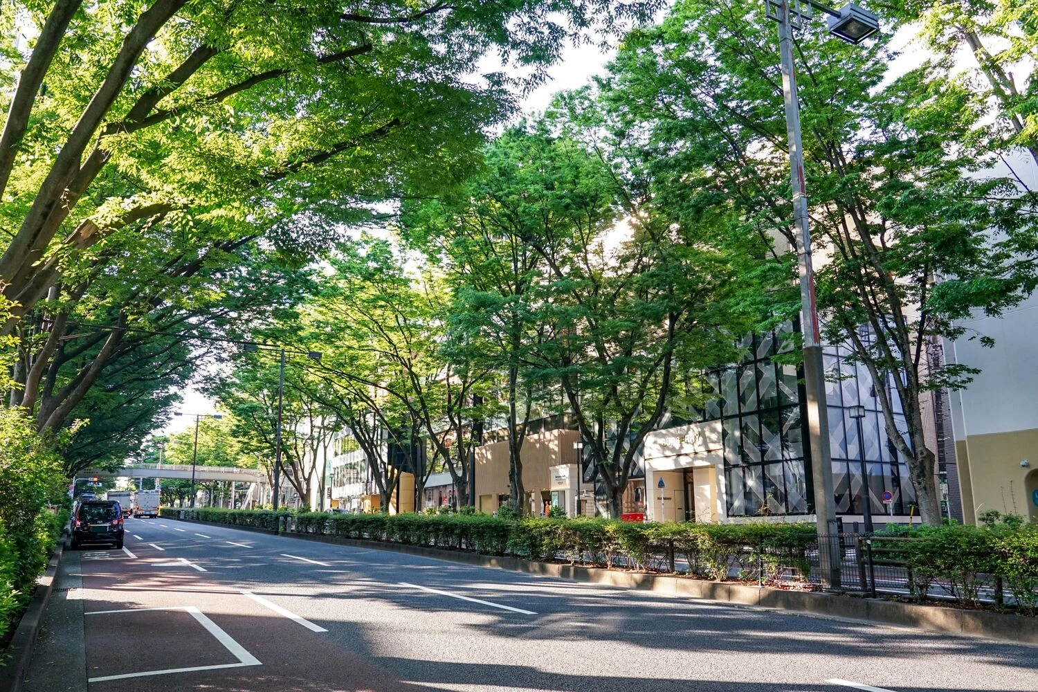 画像3879